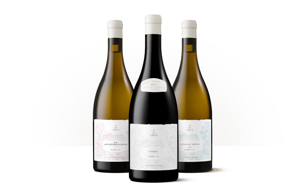 Ski biathlon photo wallpaper