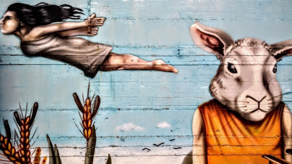 Bryce Piggy Hallucination