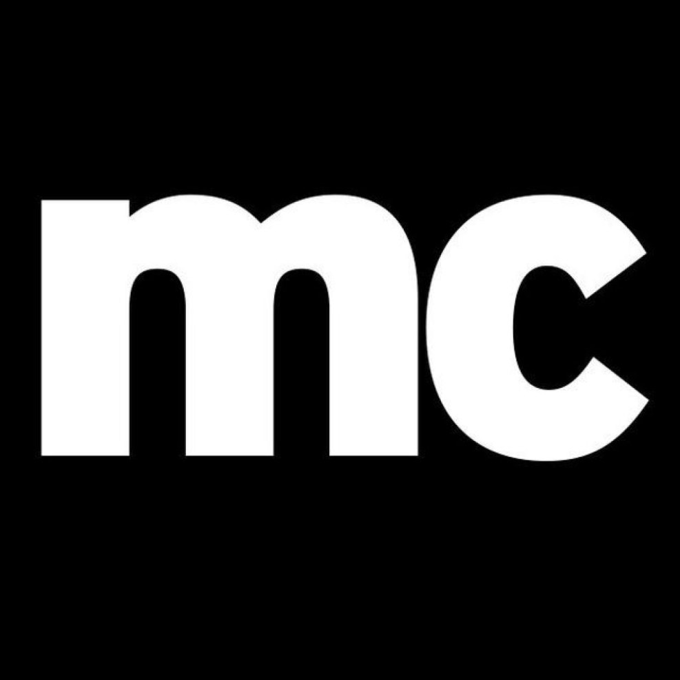 BPW 295x430 shock absorber