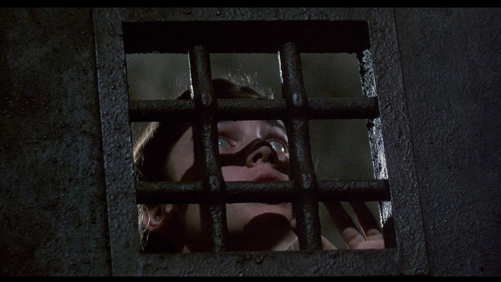 Stefan Castles multiculturalism