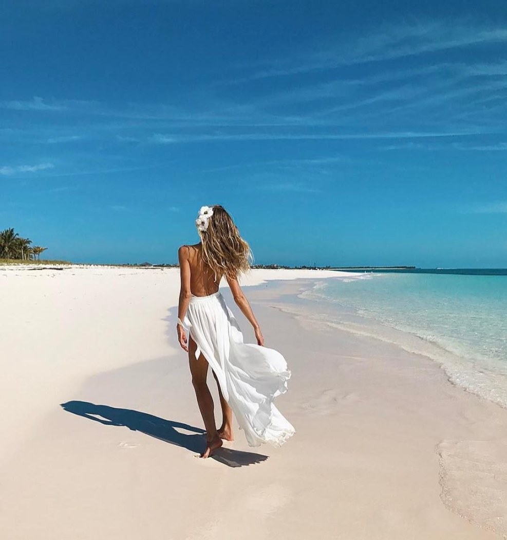 Sea and palm trees on the desktop