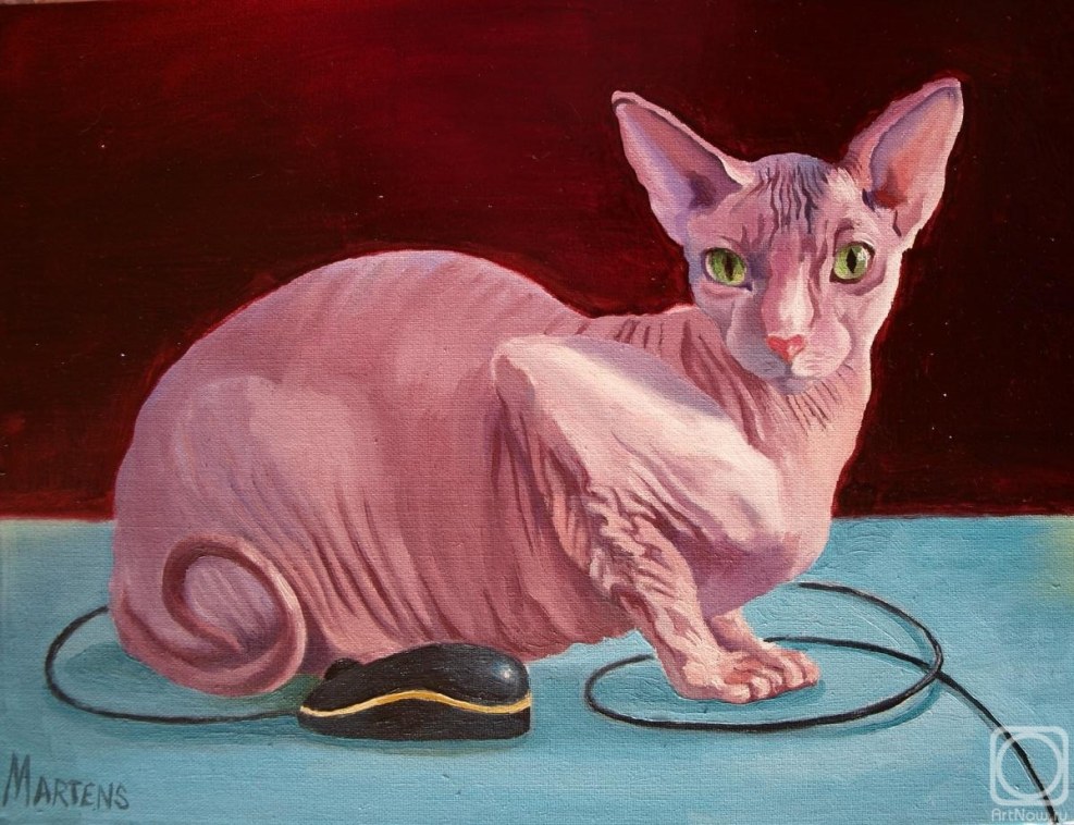 Elena koshka kinosi yangisi