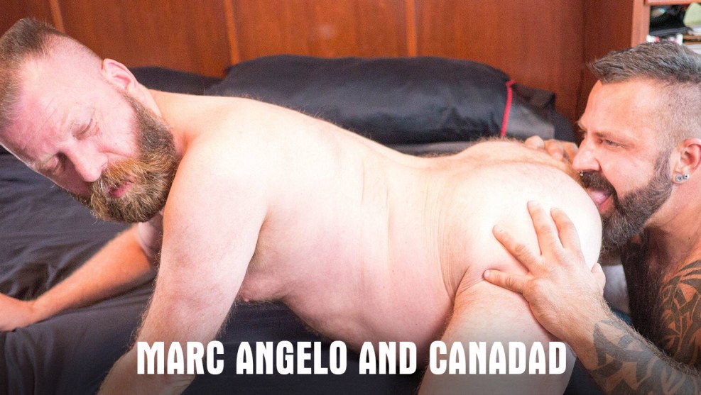 Hairy beam with a huge member