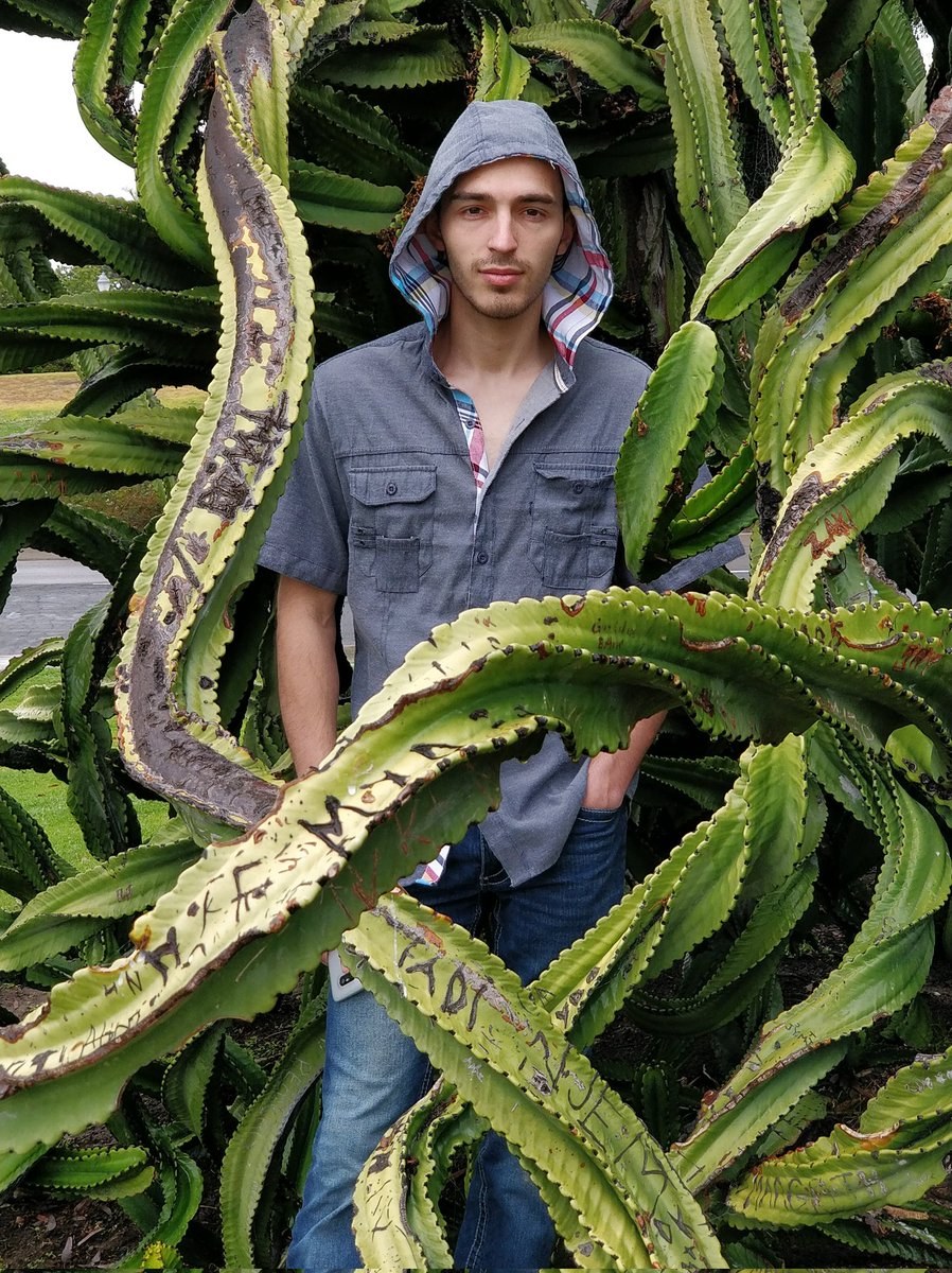 60295-06 Wallpaper Erismann