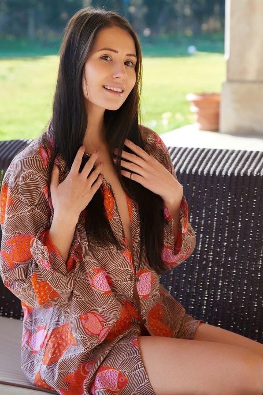 BPW 295x430 shock absorber