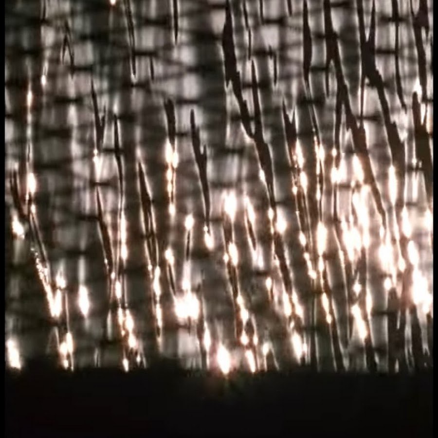 Miss Carlie Joi (59 photos)