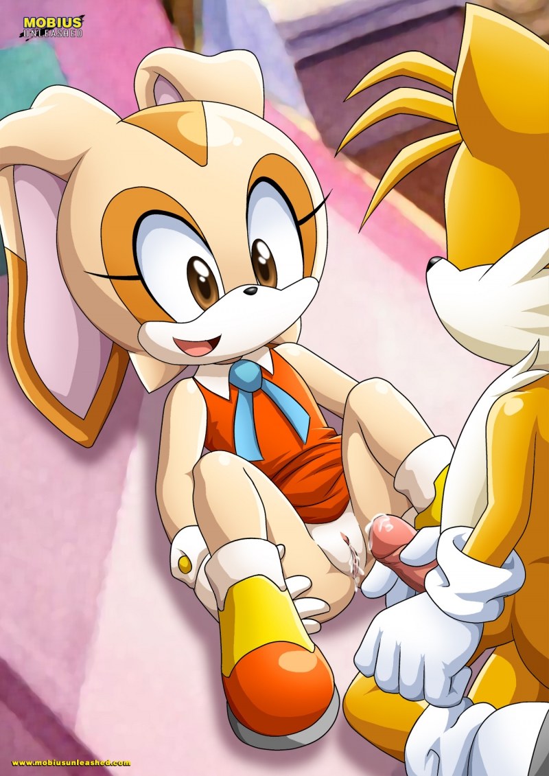 Sonic Vanilla The Rabbit and Crime Hentai (18+)