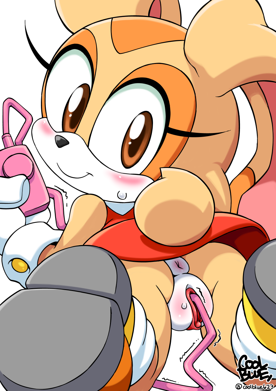 Sonic CRIM TentAKO Hentai