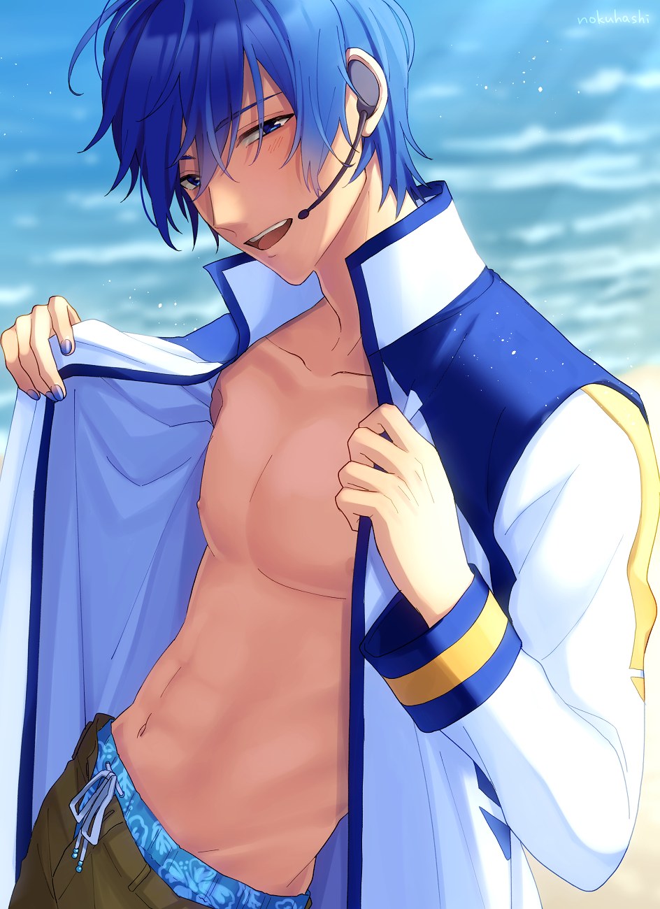 Kaito Vocaloid (61 photos)