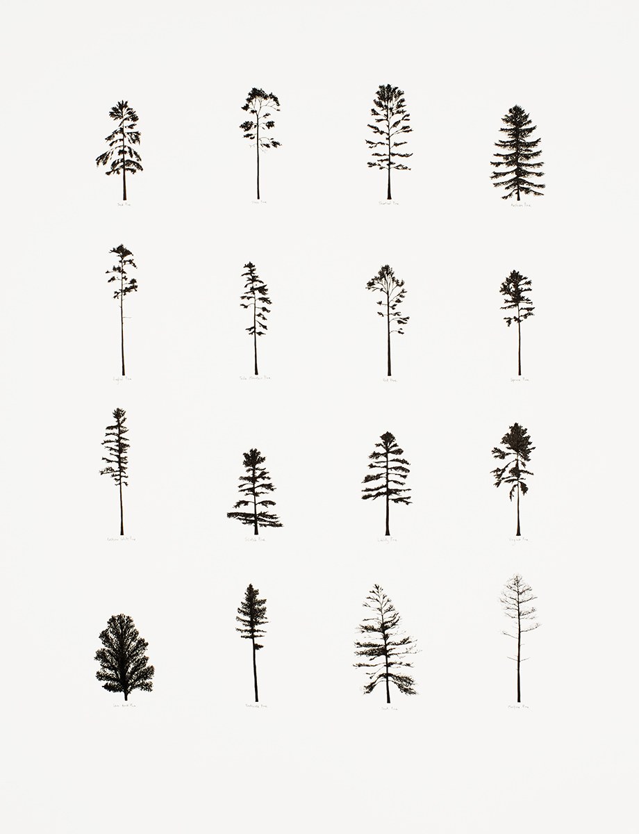 Wallpapers on the desktop anime v