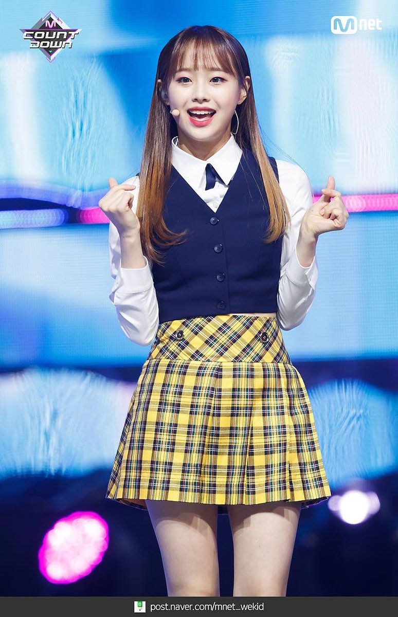 Ljourbring Champion Champion LS5001N