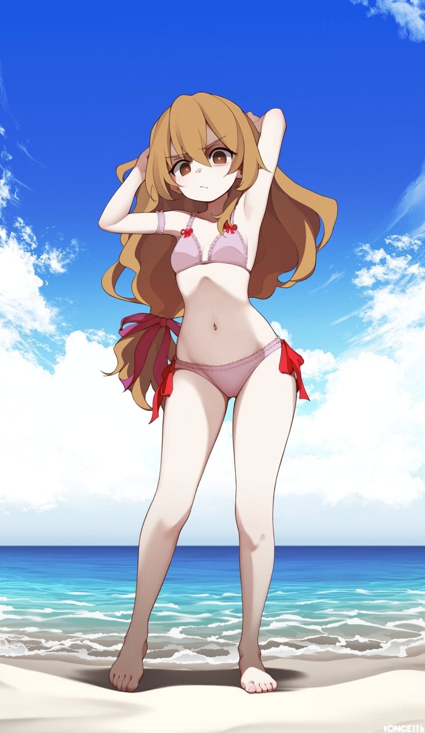 Toradora Aisak taiga nobody