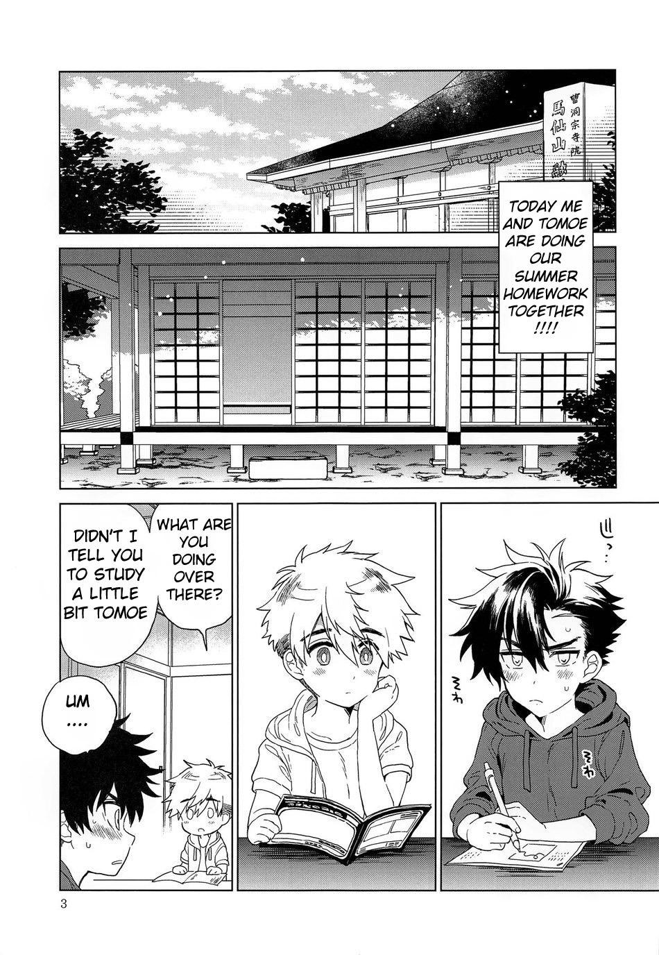 Heart Switch (72 photos)