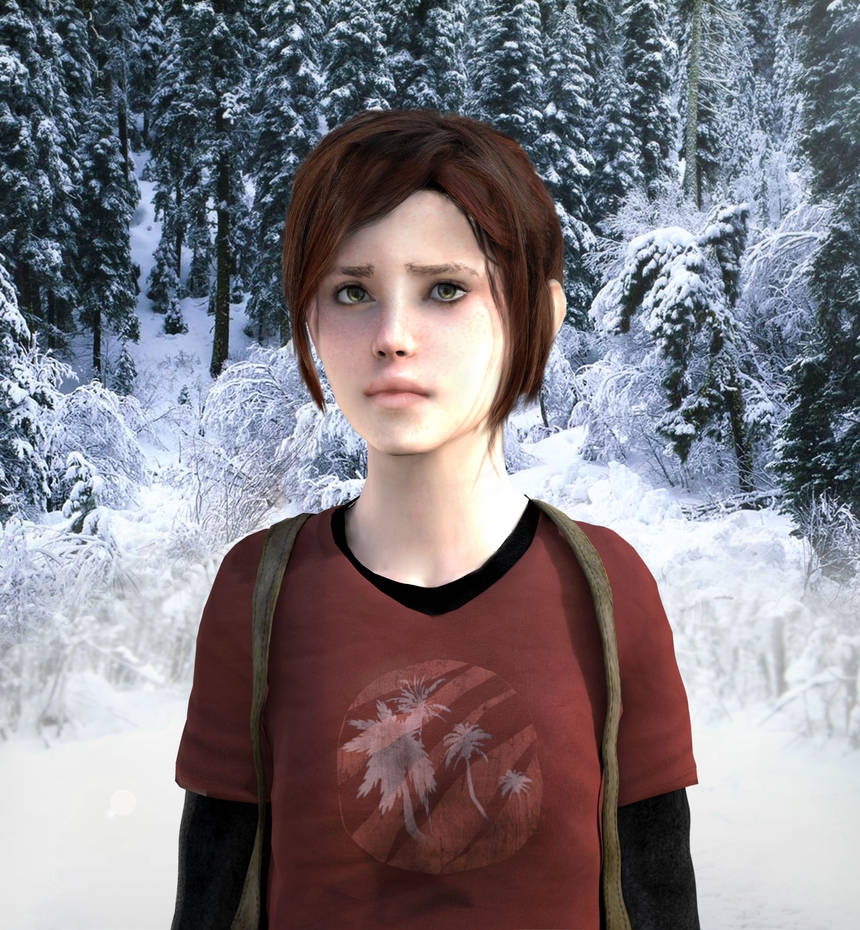 The attraction of the icon