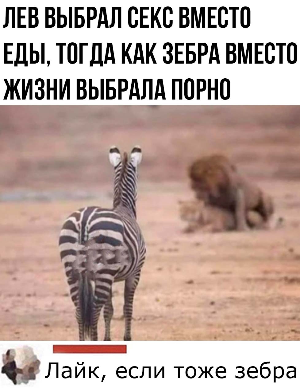 Kristina Shcherbinina Liya