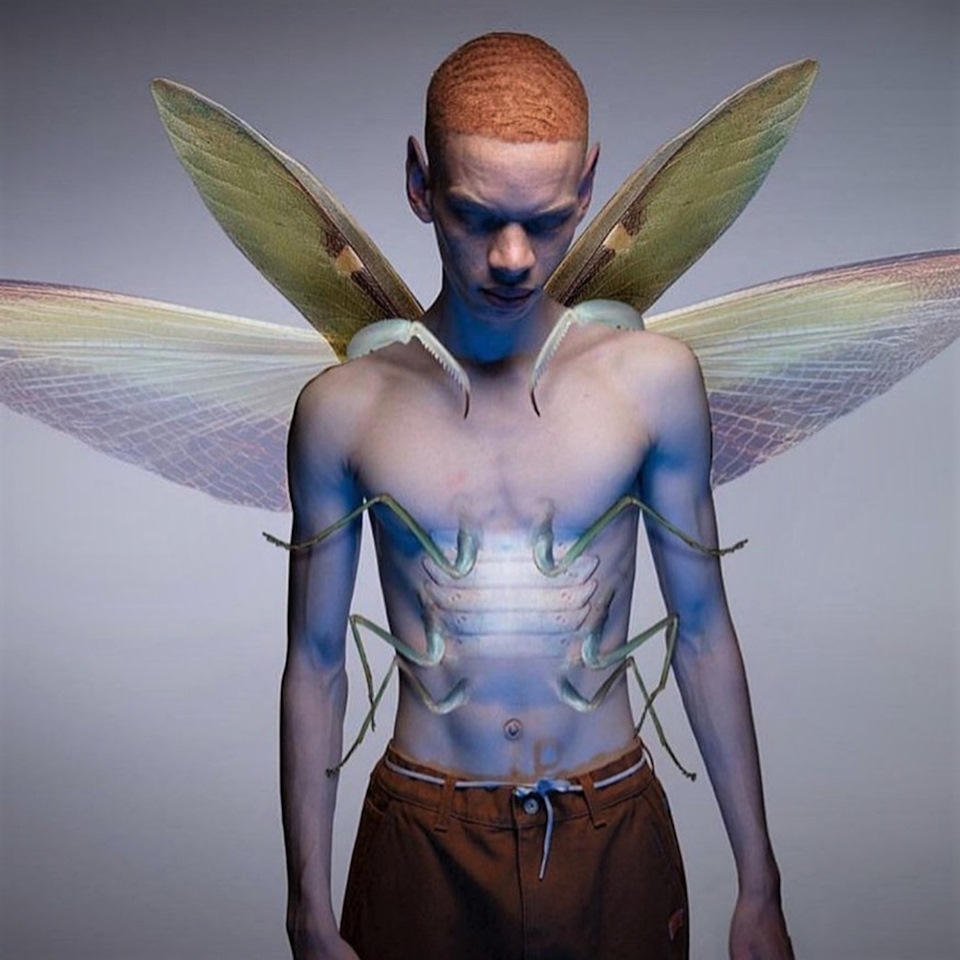 Luke Skywalker fights with Mara comic