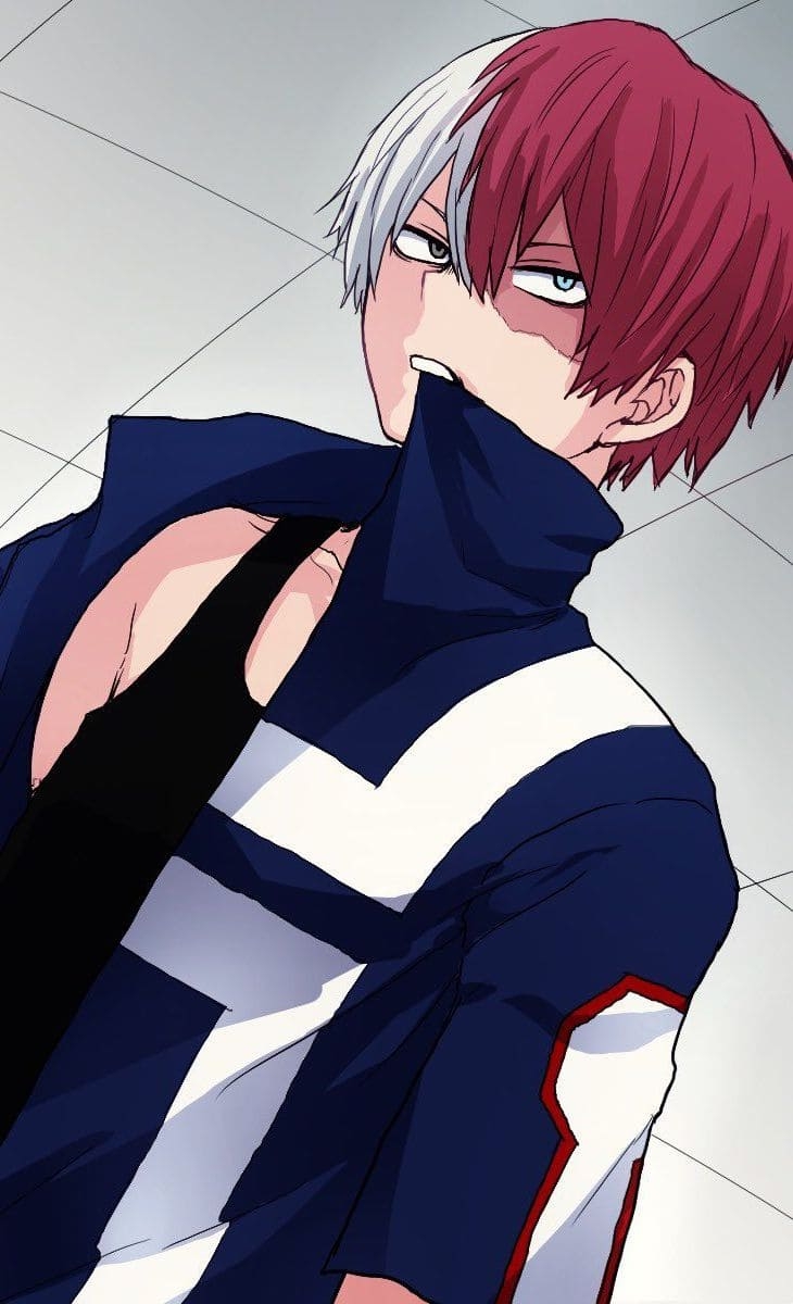 Todoroki and MidoriPorno