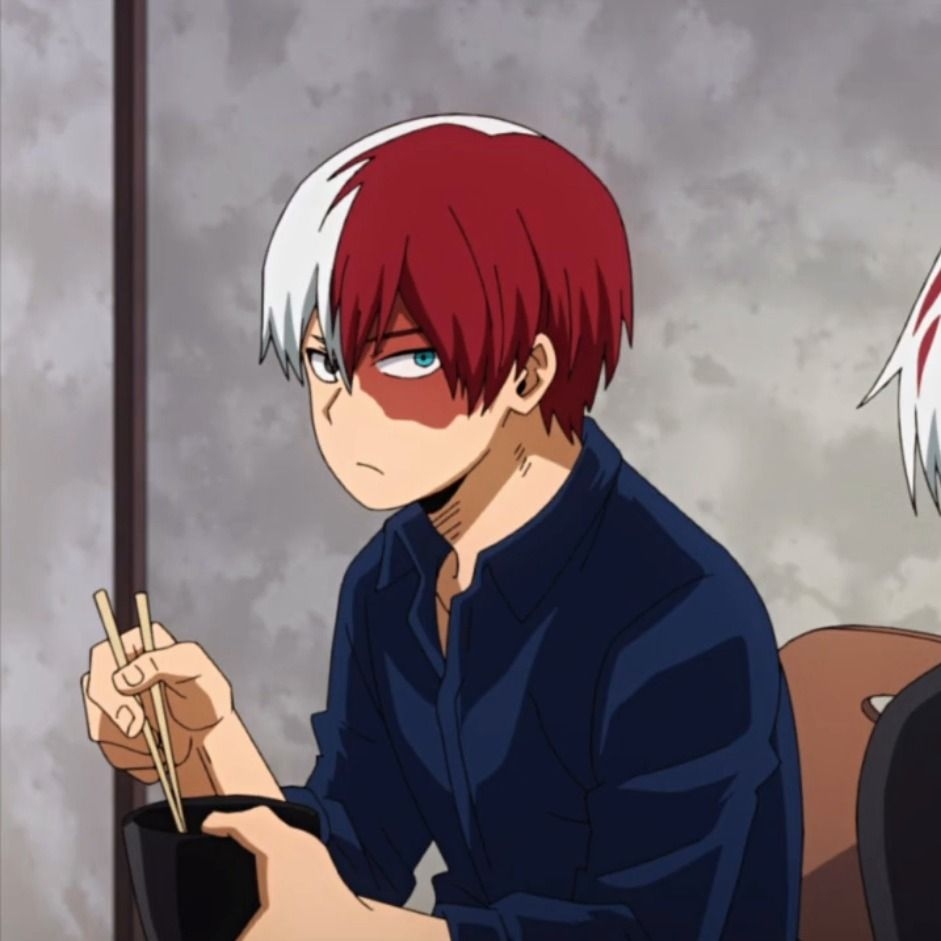 Shouto Todoroki Hot (69 photos)