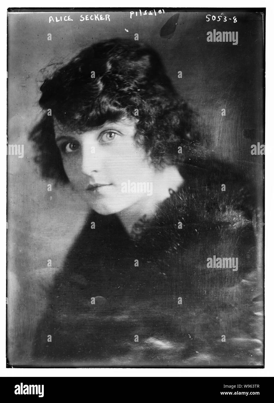 Flamingo Alice in Wonder Wonders drawing