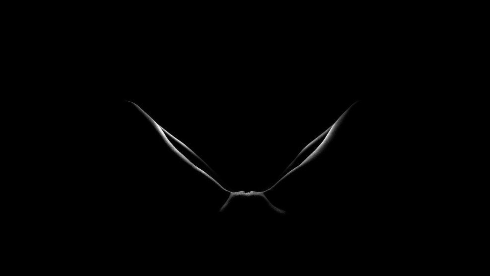 Metallica group logo