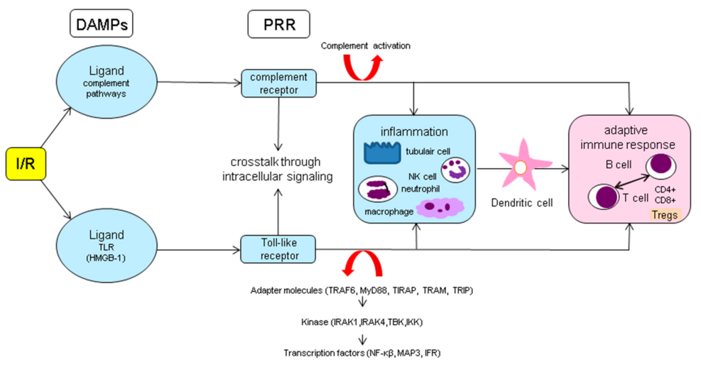 Picture doctor and patient sexy