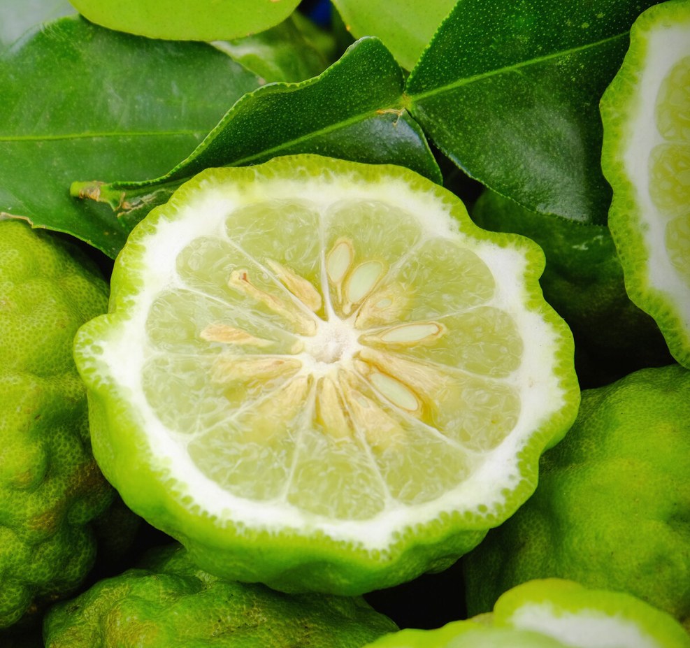 Murkamfc / murrrrrrrka