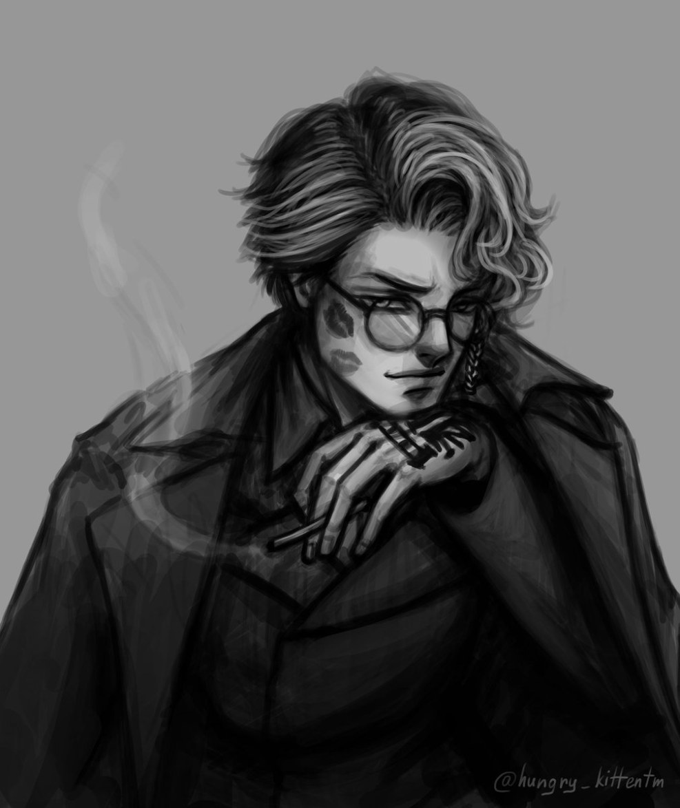 A cat in the pictures how they fight