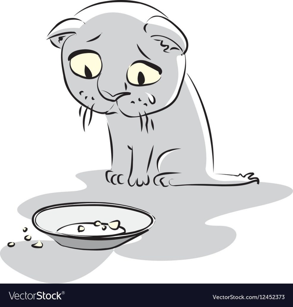 Satisfied cat with pancakes