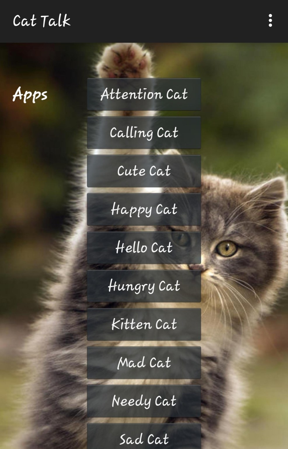 Both sushi and sushi meme cats cat