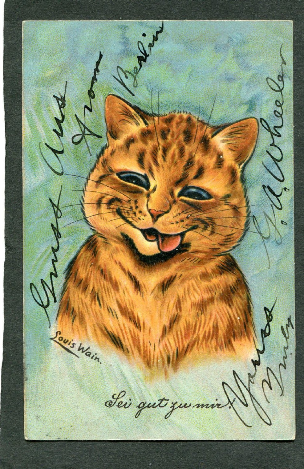 Cats with open mouths drawing