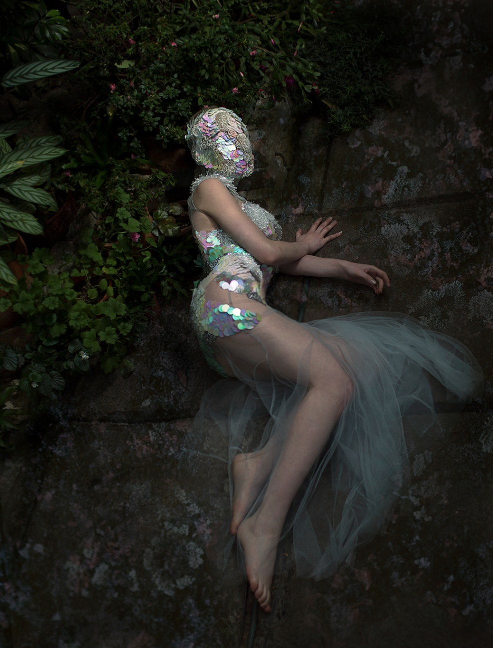 Nelly Birds Paradise