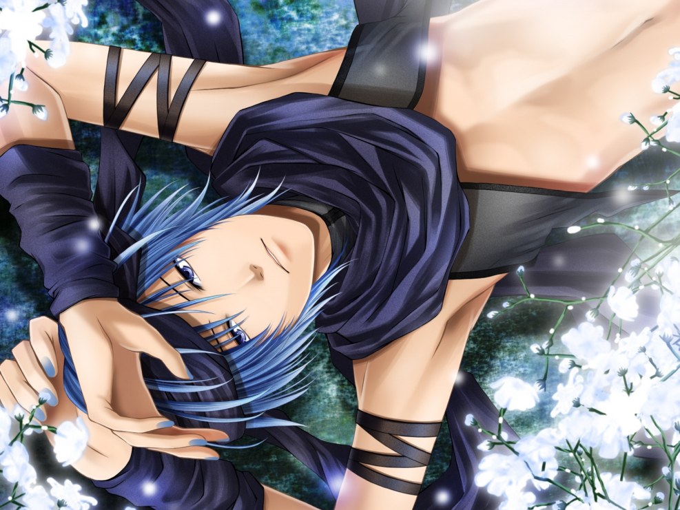 Kaito Shion Anime