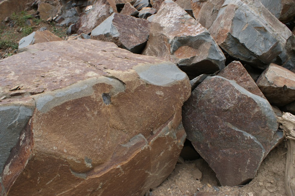 Suslina in the ground is small