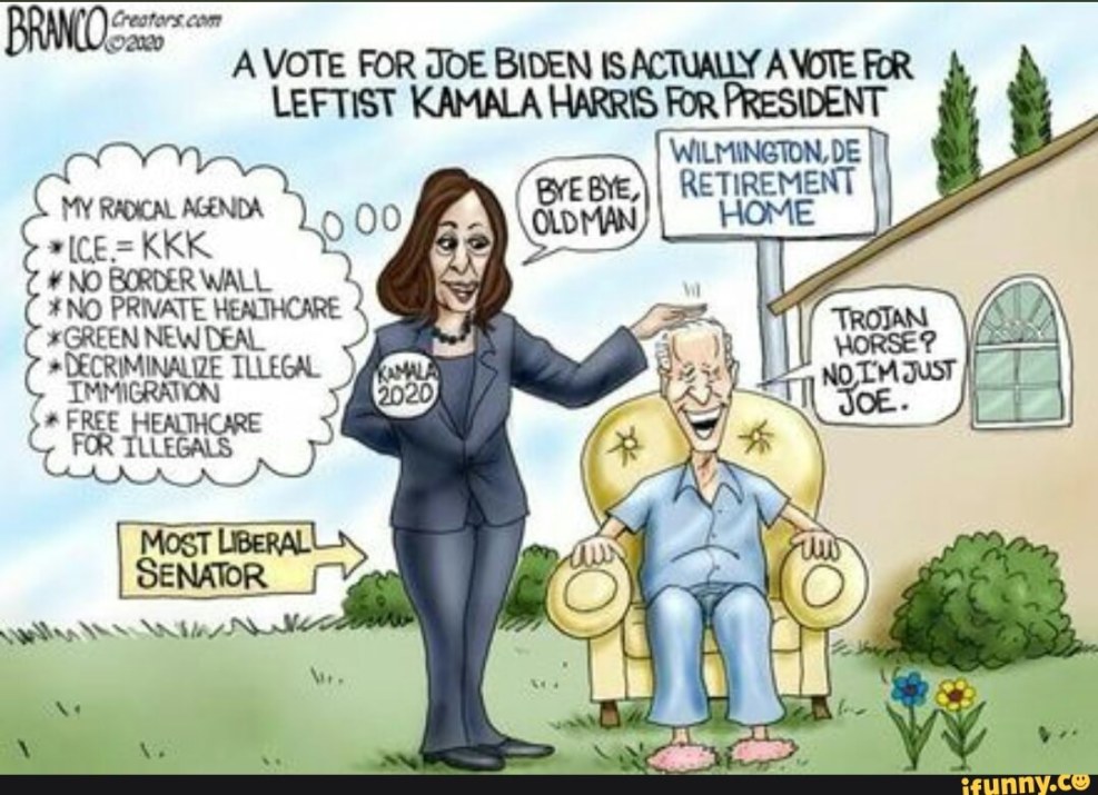 Kamala Harris Transvestite