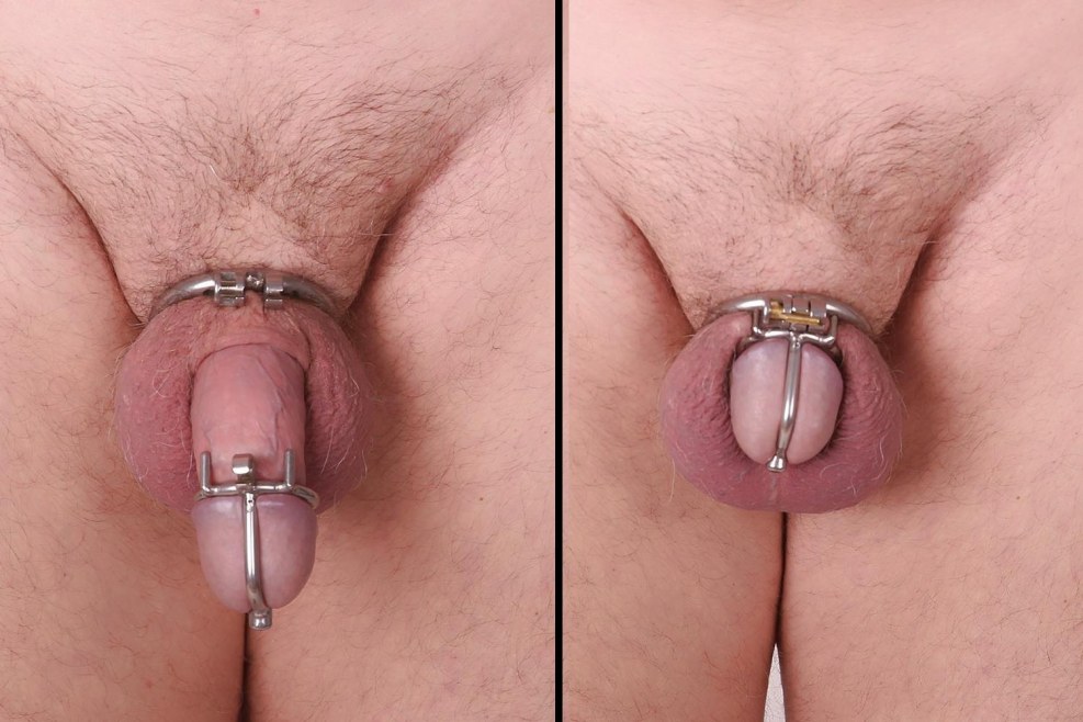 Belt of fidelity Prince Albert