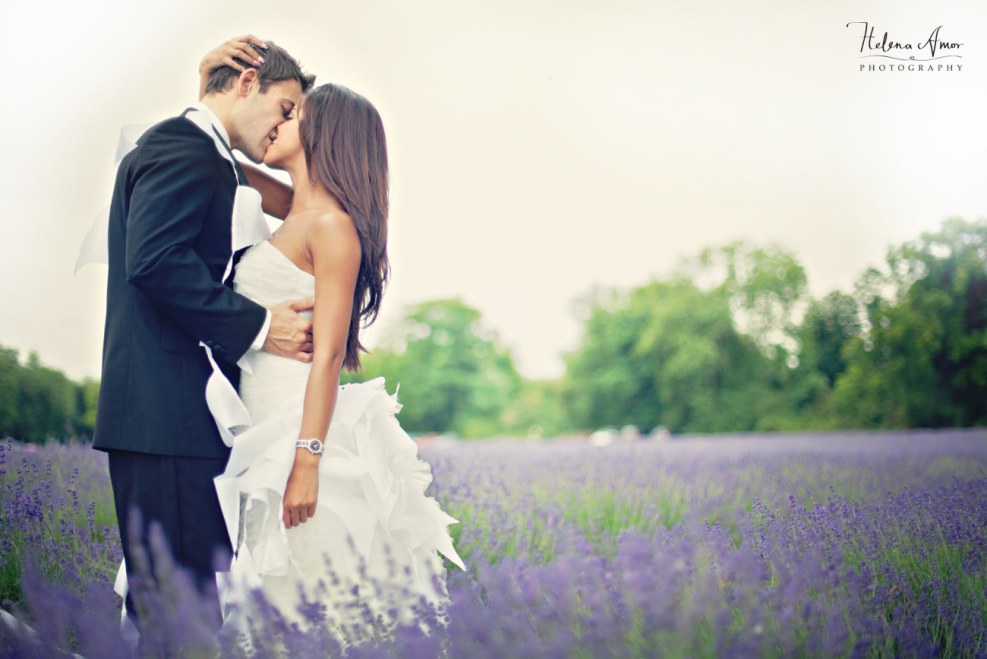 Violet 367 light gray