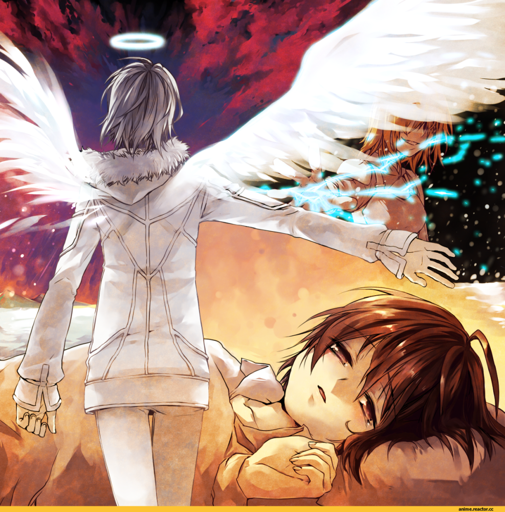 NN-DF383BZPE (inverter)