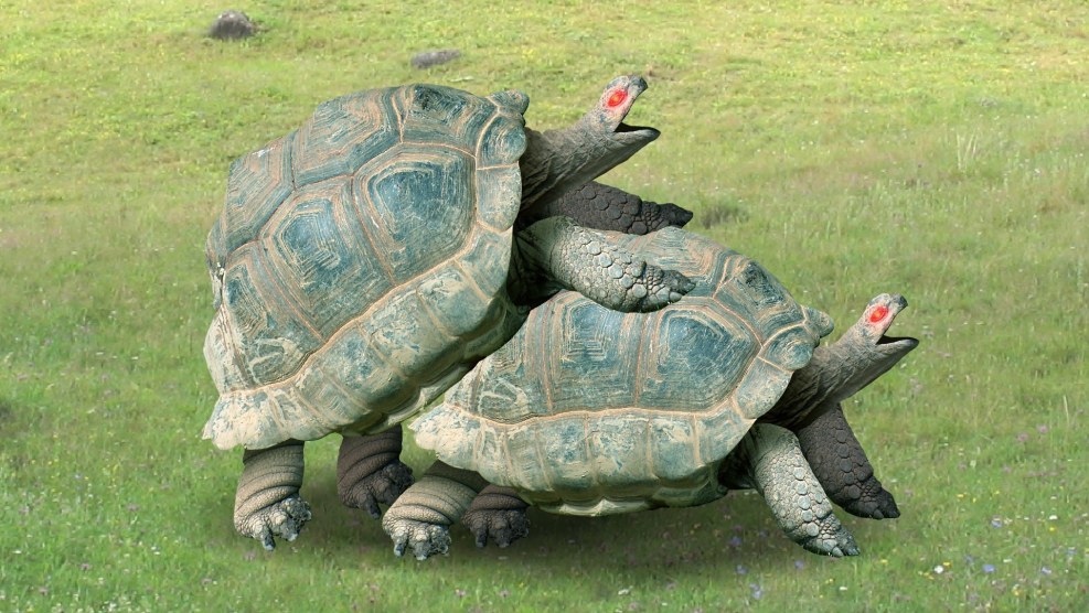 Coco Lovelock (Coco Lavlock)