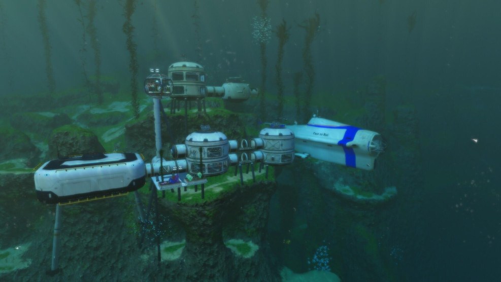 Subnation of the shell beetle