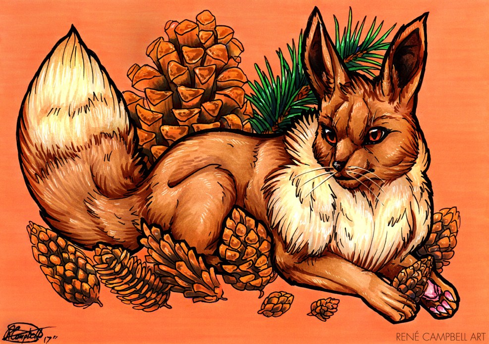 Rene Campbell weight