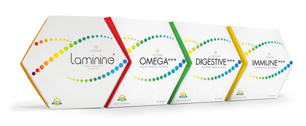 Java Io Exception Error