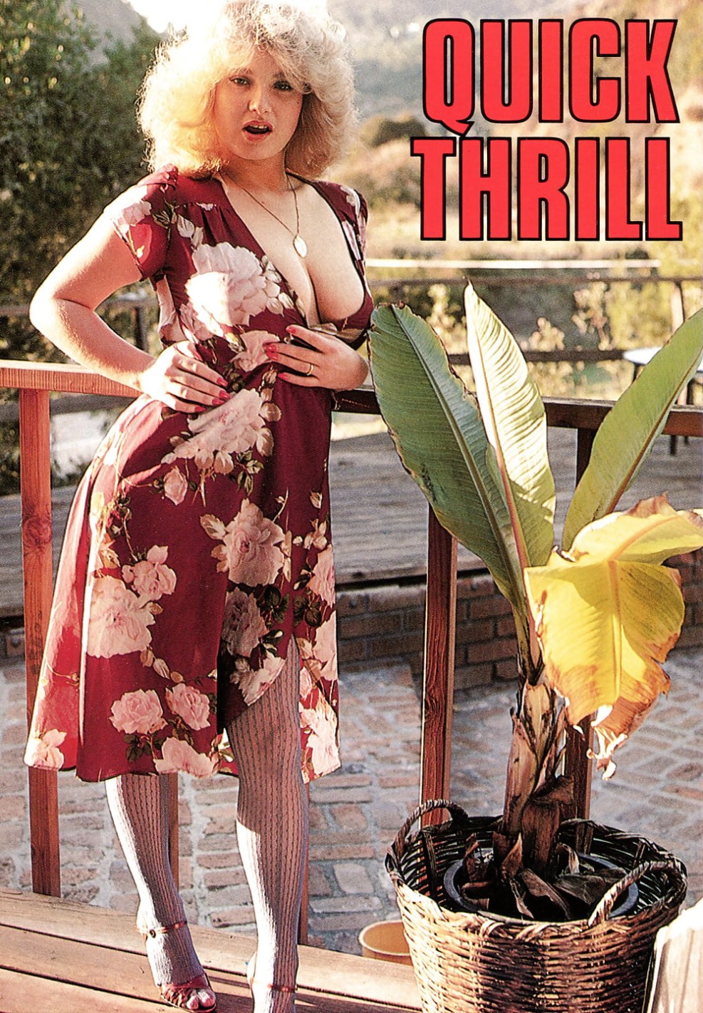 Porn actress Lisa Melendez how changed