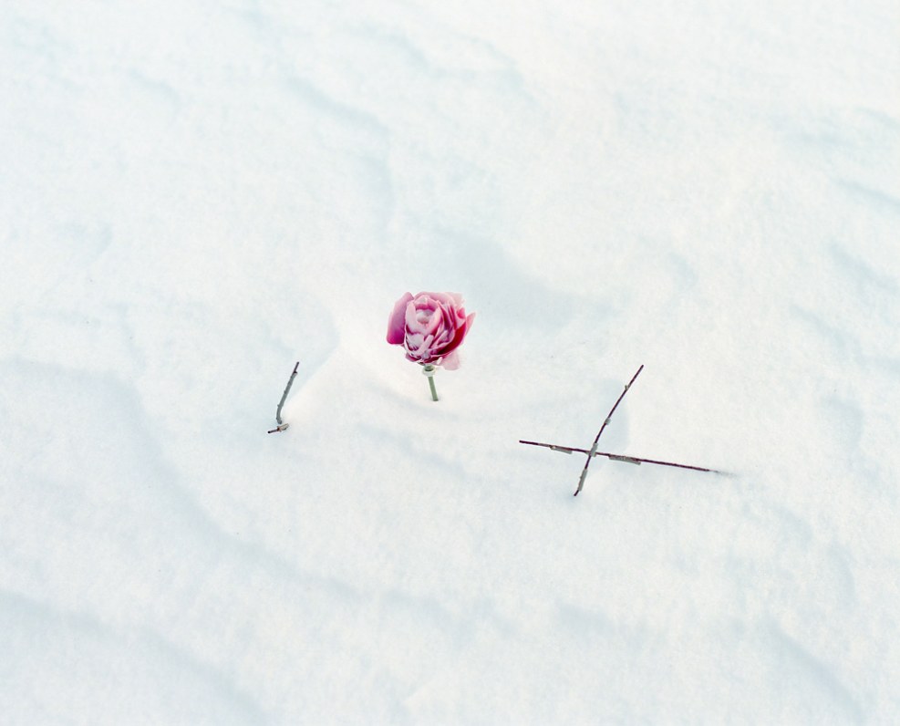 Tough conical wheel FD-567.01.002