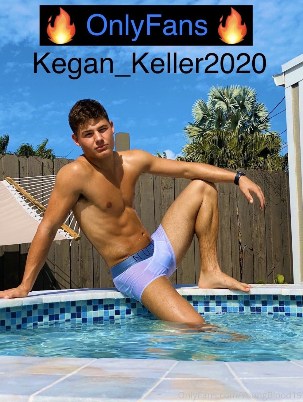 Rocco Siffredi Pornstar