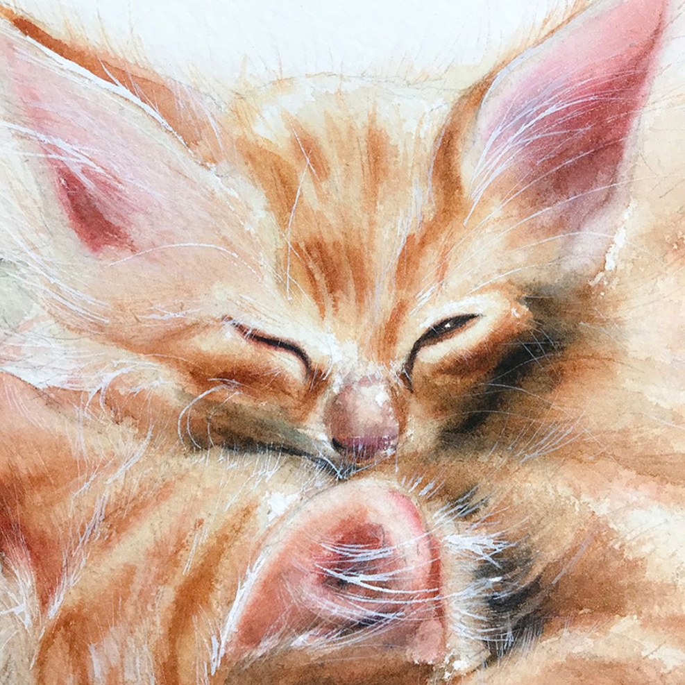 Maria raczynska watercolor cat