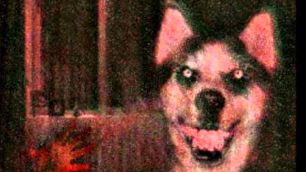 Fight of the stickers