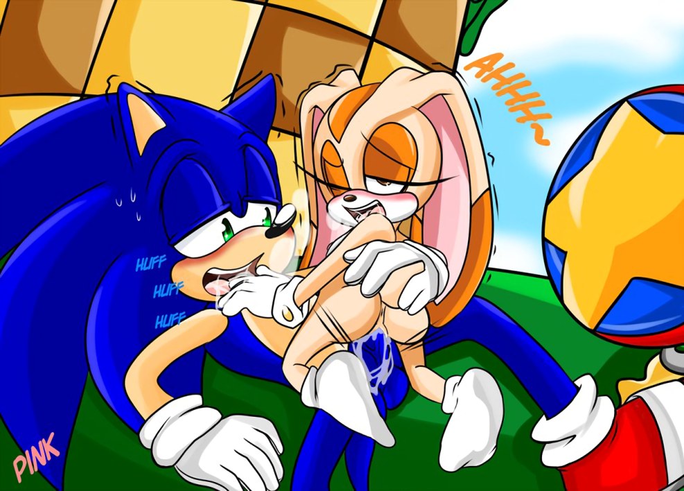 Feminine Sonic Rule 34