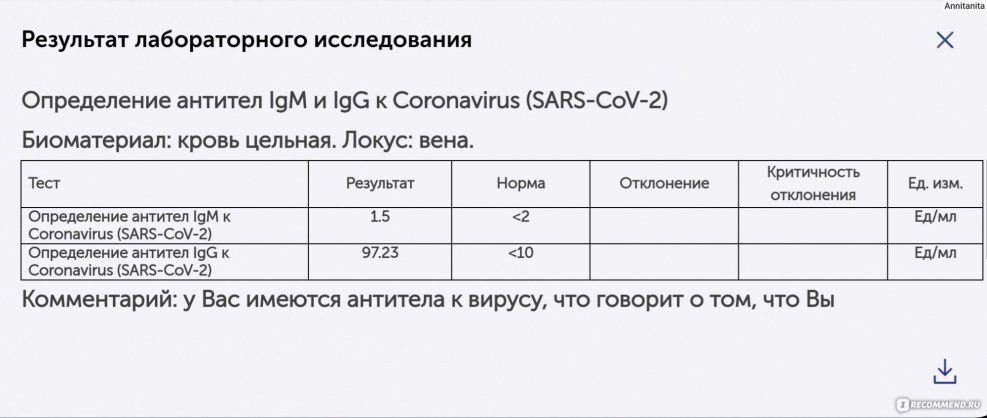 Pikachu gif on a transparent background