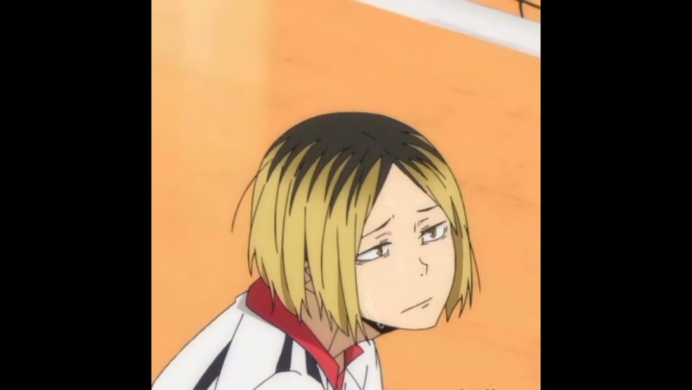 Anime Volleyball Morisuke Yaku