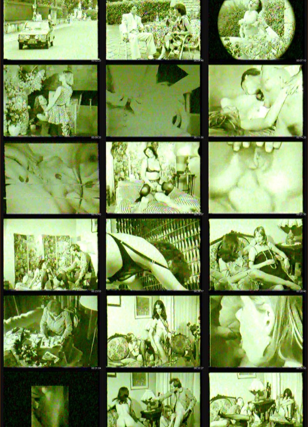 Water -based foam glue